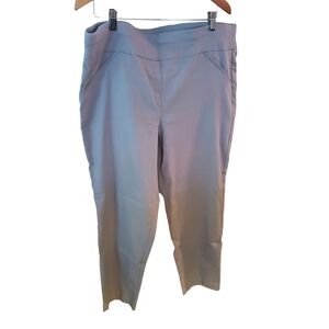 Alfred Dunner grey pull on pants